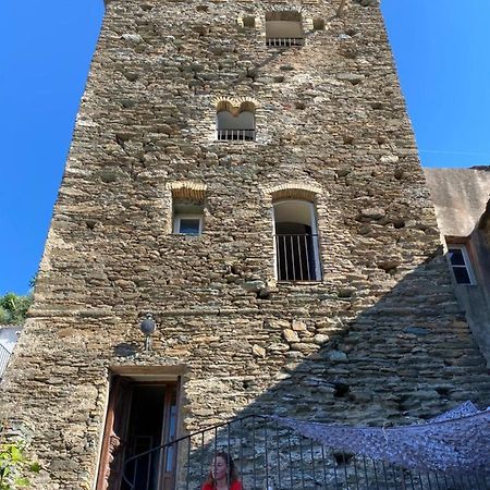 Bed and Breakfast Torra Di Ciocce Pino Экстерьер фото