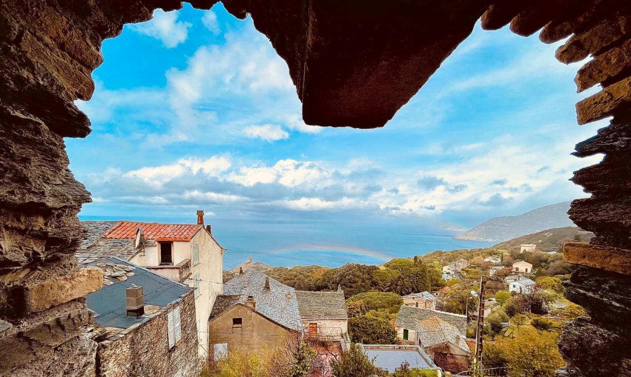Bed and Breakfast Torra Di Ciocce Pino Экстерьер фото